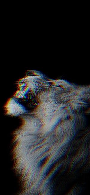 Wallpaper